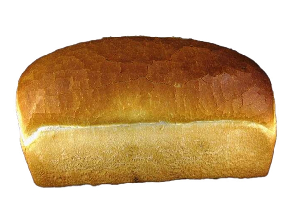 Witbrood