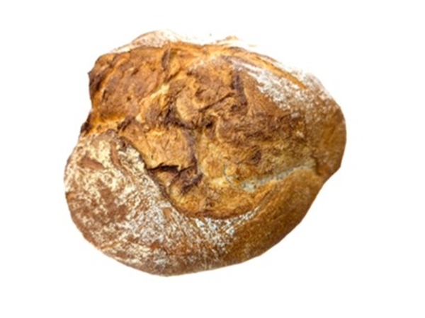 Leidsch Geusje