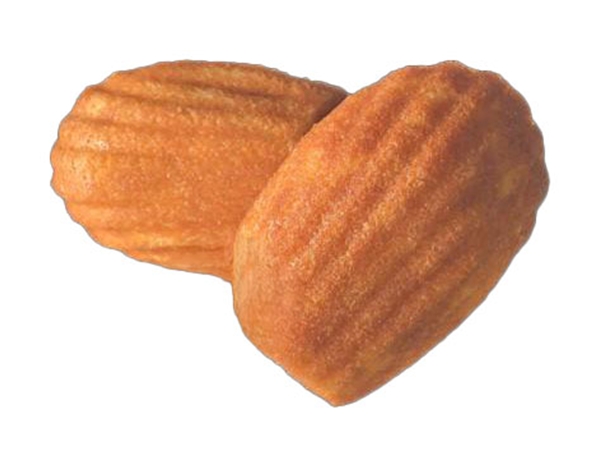 Franse Madeleine